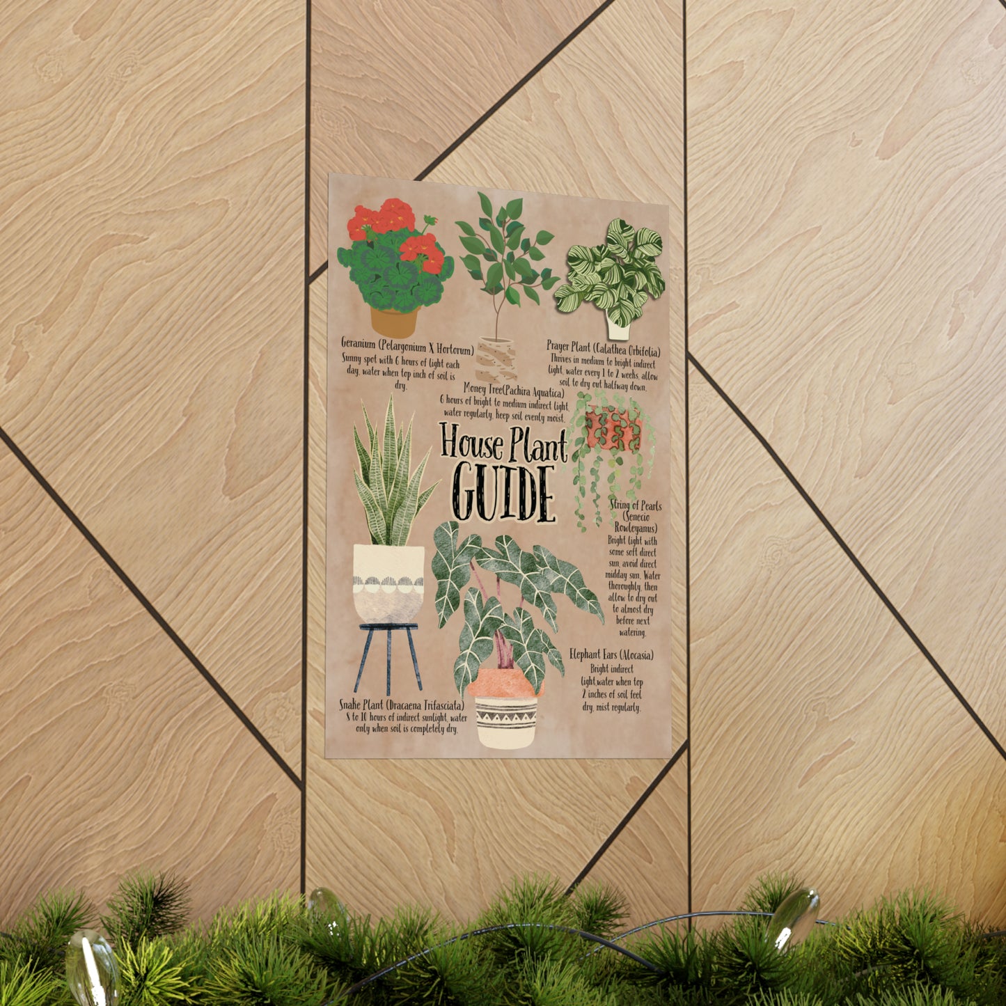 Poster Art, House Plant Guide Series No. 2, Vintage Inspired, Matte Finish, Pick Your Size