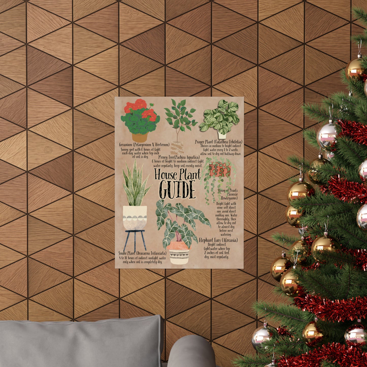 Poster Art, House Plant Guide Series No. 2, Vintage Inspired, Matte Finish, Pick Your Size