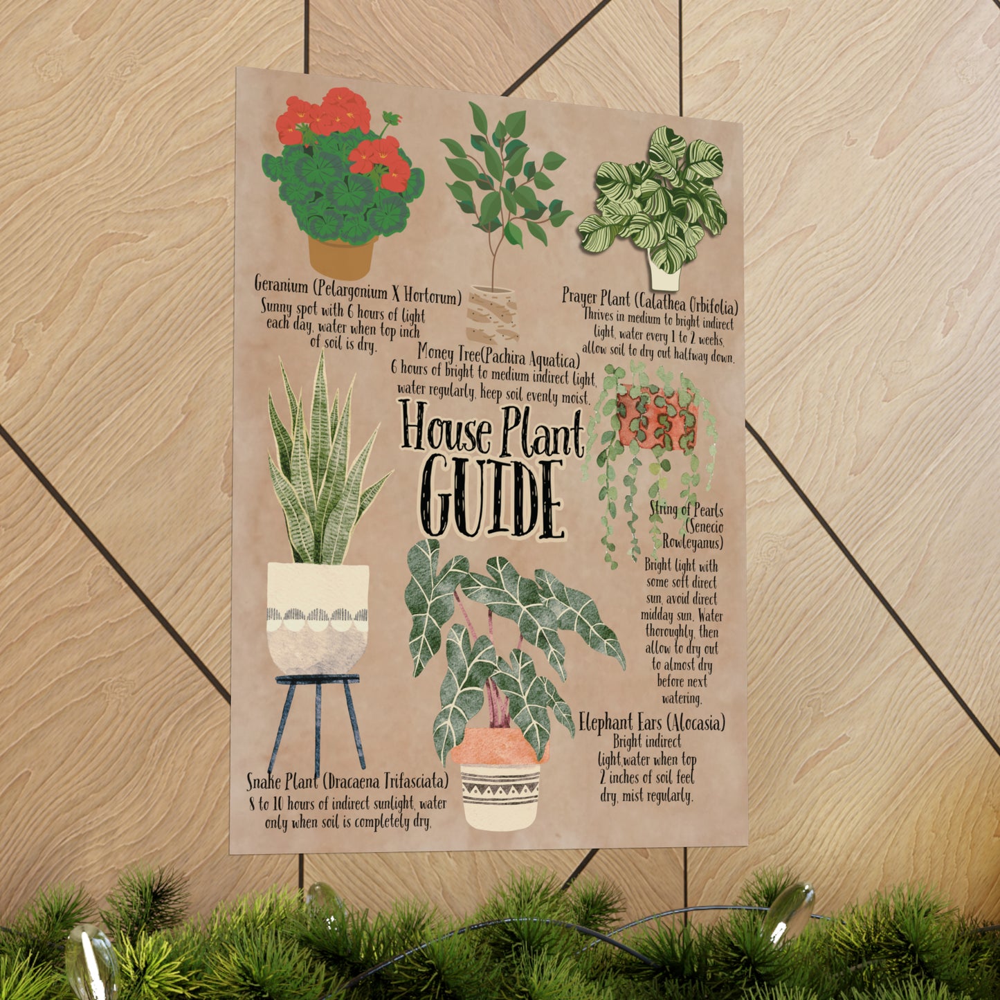 Poster Art, House Plant Guide Series No. 2, Vintage Inspired, Matte Finish, Pick Your Size