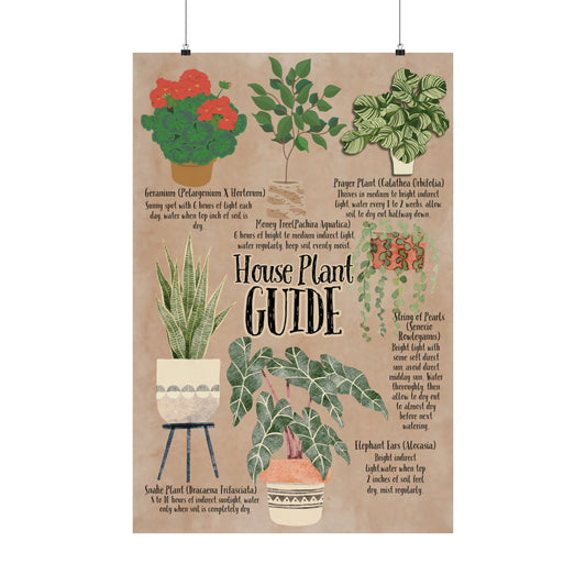 Poster Art, House Plant Guide Series No. 2, Vintage Inspired, Matte Finish, Pick Your Size