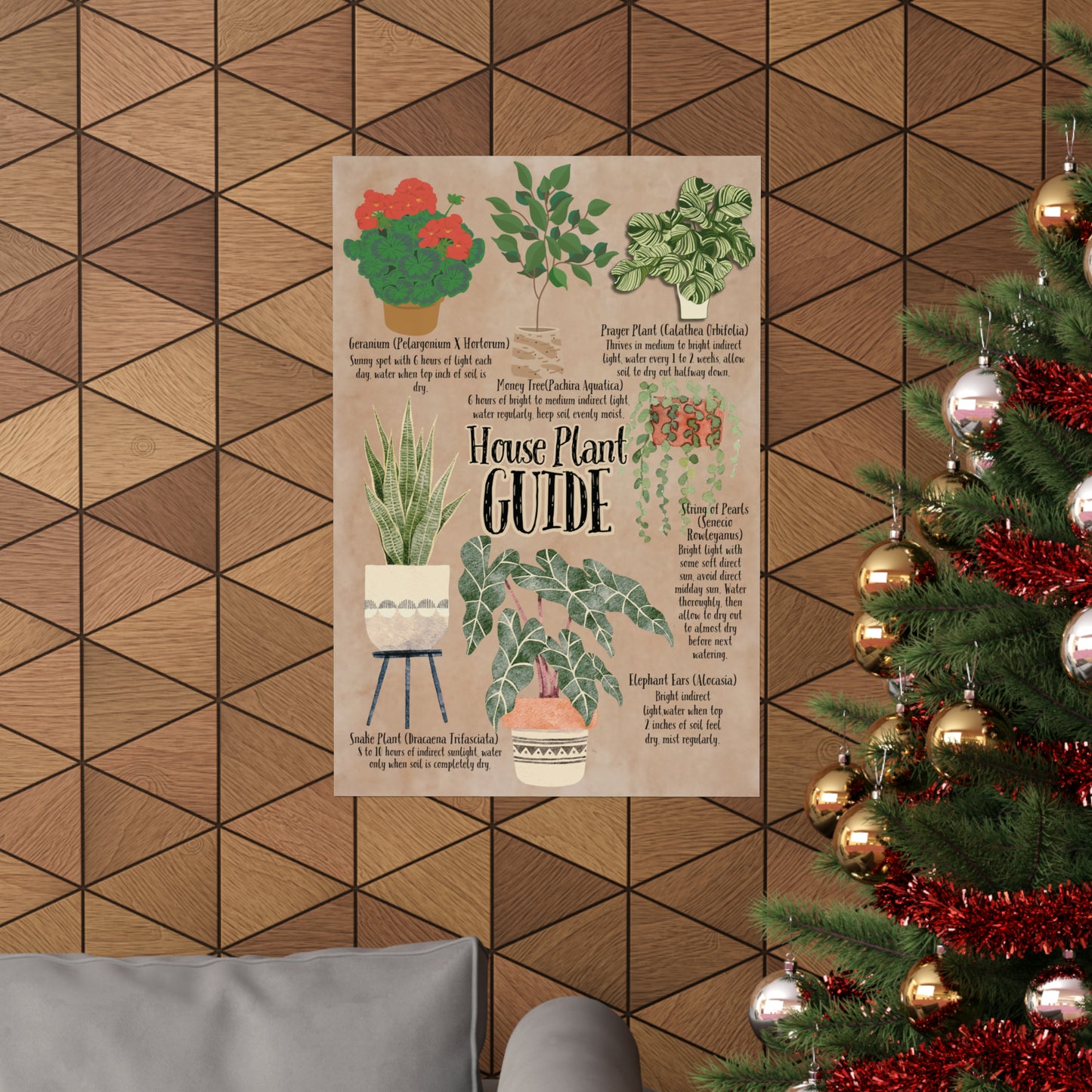 Poster Art, House Plant Guide Series No. 2, Vintage Inspired, Matte Finish, Pick Your Size